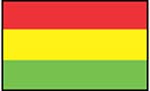 Flag of Bolivia 2