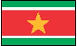 Flag of Surinam